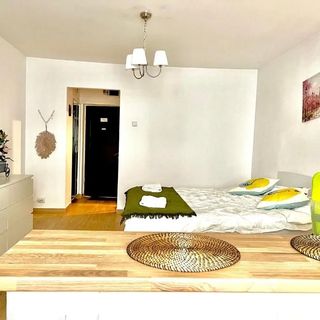 Stirbei - Victoriei Studio București (2)