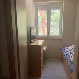 Fenyvesi Kuckó Balatonfenyves (4)