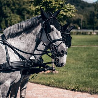 Jítravský Dvorec - Hotel U Pekaře Rynoltice (5)