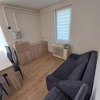 Három Bagoly Vendégház Tiszakécske (3)