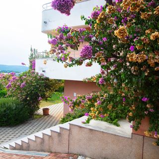 Apartmanok Parkolóhellyel Solaris, Sibenik - 23541 Solaris (4)