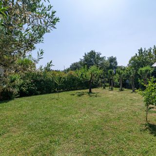 Apartments With Parking Space Poreč - 23561 (4)