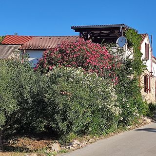 Apartmanok Parkolóhellyel Rukavac, Vis - 23763 Rukavac (2)