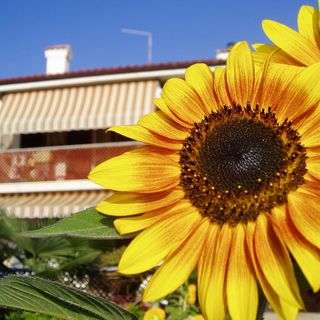 Apartmanok Parkolóhellyel Punat, Krk - 23877 Punat (4)