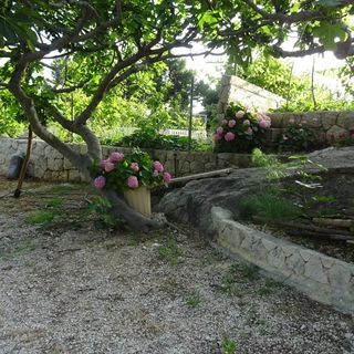 Apartmanok Parkolóhellyel Zivogosce - Blato Makarska - 23922 Živogošće - Blato (5)