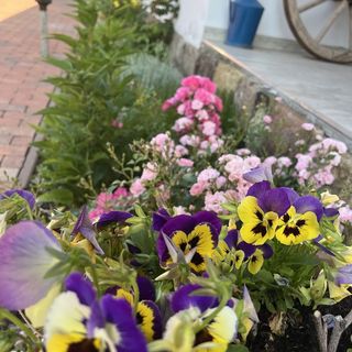 Relaxxa Apartman Noszvaj (4)