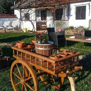 100 Éves Présház Badacsonyörs (5)