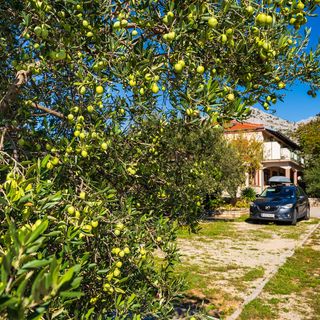 Apartments Adriana Starigrad (2)