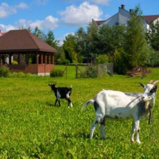 Ekologiczne Gospodarstwo Agroturystyczne Jaćwing (5)