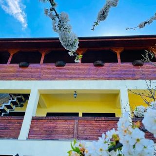 Casa Camelia Dubova (3)