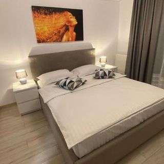 Apartament Ovy Residence Rasnov (5)