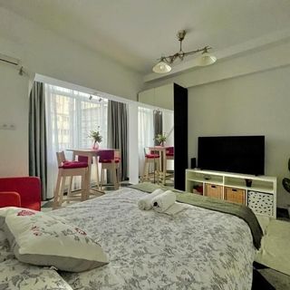 Victoriei spacious studio București (5)