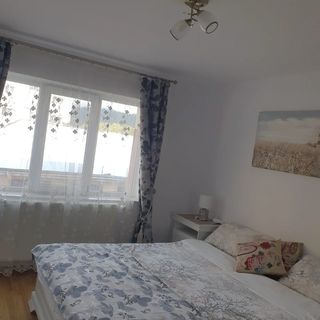 Apartament Alb Vatra Dornei (5)