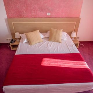 Hotel Vis Eforie Nord (3)