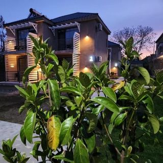 Complex Sea Star 2 Mai (3)