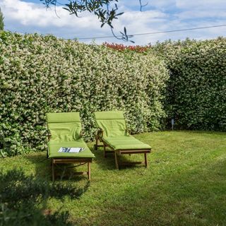 House Green Marea Vabriga (3)