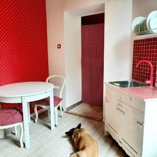 Apartament Retro House Częstochowa (5)