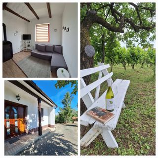 Mi kis lakunk Vendégház Várdomb (2)