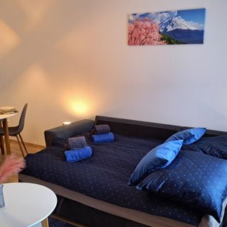 Erkel Apartman Dunaújváros (4)