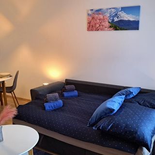 Erkel Apartman Dunaújváros (4)