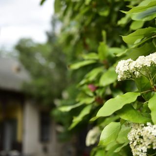 Tornácos Vendégház Kőröshegy (4)