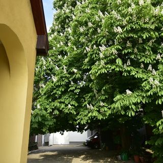 Tornácos Vendégház Kőröshegy (5)