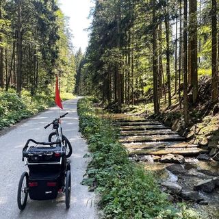 Willa Górski Azyl Soblówka (2)