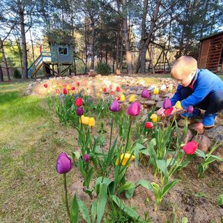 Domek Fajno Chałupa Konarzyny (2)