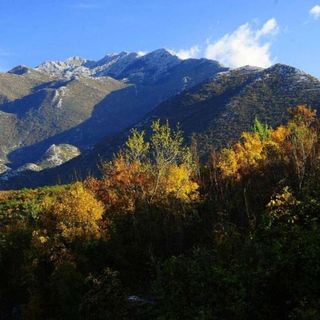 Villa Vinka Kozica (4)