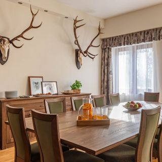 Keselyűsi Vendégház Öcsény (5)