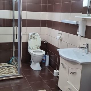 Casa Mio Moldova Nouă (4)