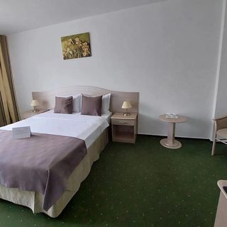 Hotel Bran Brad Bega - 1052 (3)