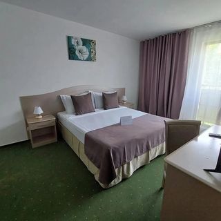 Hotel Bran Brad Bega - 1052 (4)