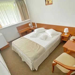 Hotel Decebal - 204 (3)