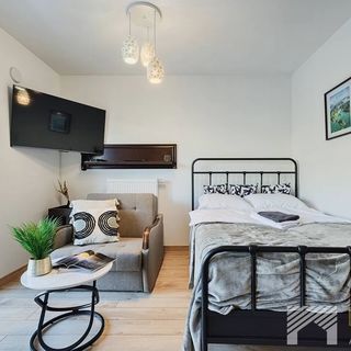 Apartament Slovianka Comfort II Łódź (2)