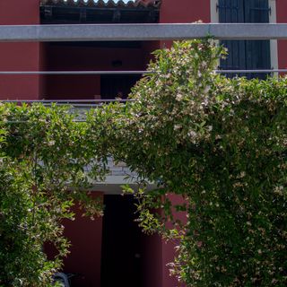 Apartments Faro Savudrija (5)