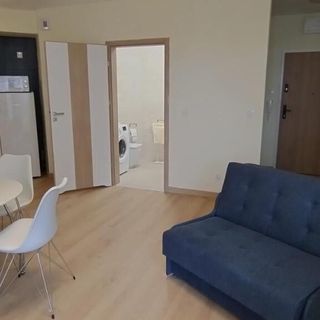 Apartament Wenus Lublin (4)