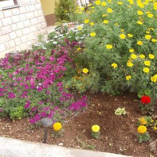 Apartment Teresa Sali (4)