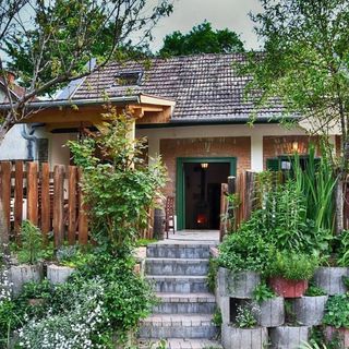 Borvirág Vendégház Bakonypéterd (3)