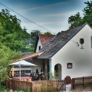 Borvirág Vendégház Bakonypéterd (5)