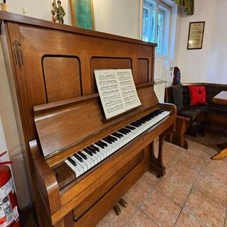 Pensiunea Casa Vânătorului Sighișoara (5)