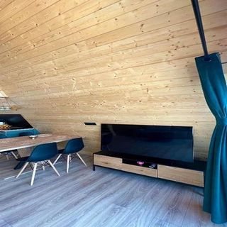 Cabana Saltwood A-frame Copăceni (3)