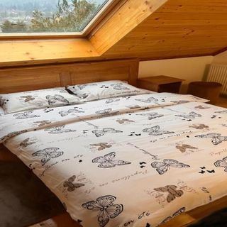 Cabana Serenity Colibița (4)