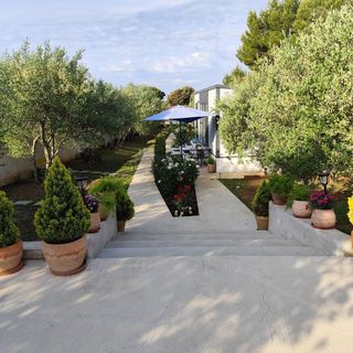 Mobile House Alba Bibinje (4)