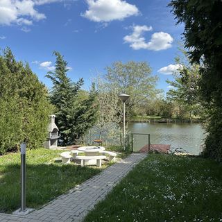 Reza 111 Békésszentandrás (2)