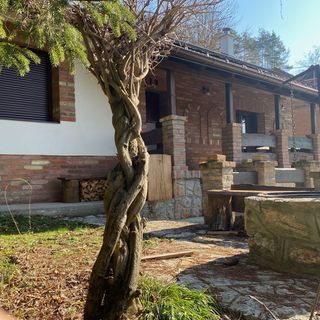 Csicsergő ház Orfű (2)