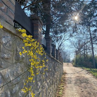 Csicsergő ház Orfű (3)