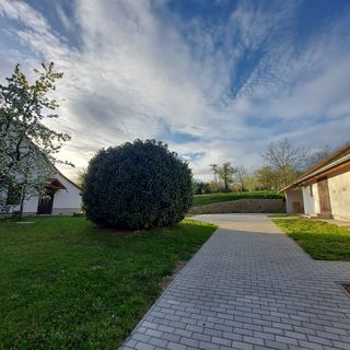 DOVER Vendégház IV. Bezeréd (4)