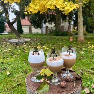 DOVER Vendégház IV. Bezeréd (3)