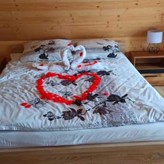 Las Lorien - wynajem domków letniskowych Roczyny (5)